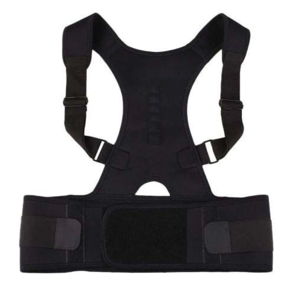 Posture Belt