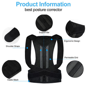 Posture Belt