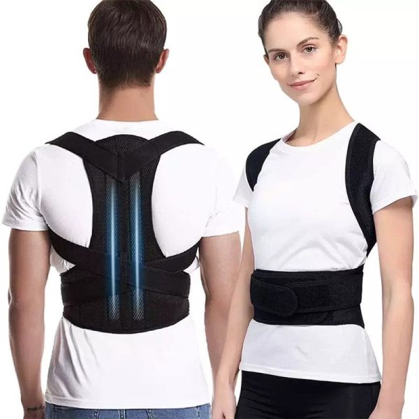 Posture Belt